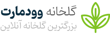 درمان دارو