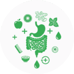 سلامت و تقویت گوارش