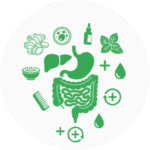 سلامت داخلی